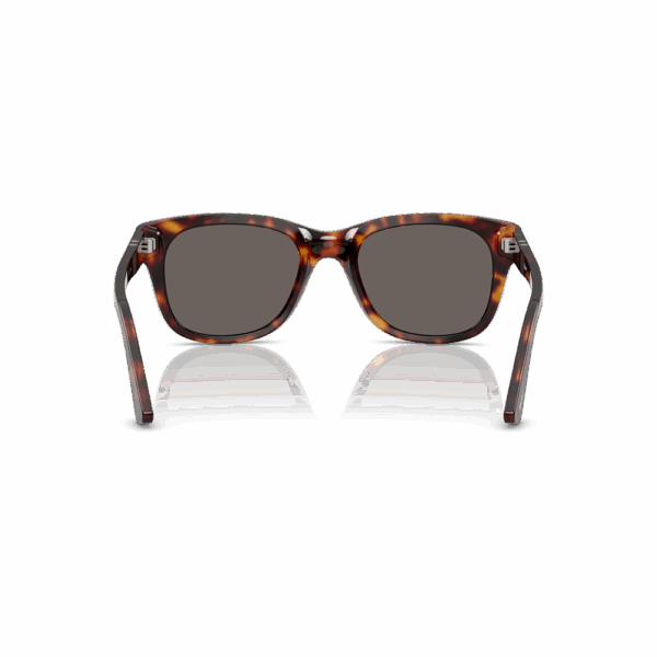PERSOL - immagine 3