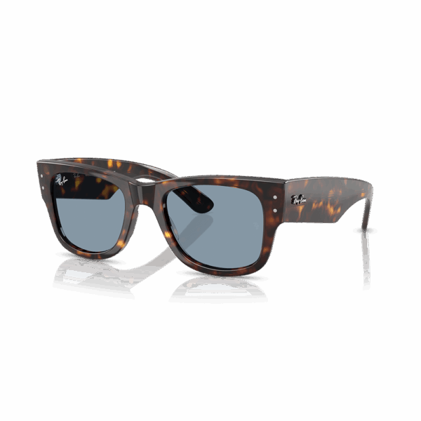 RAY-BAN