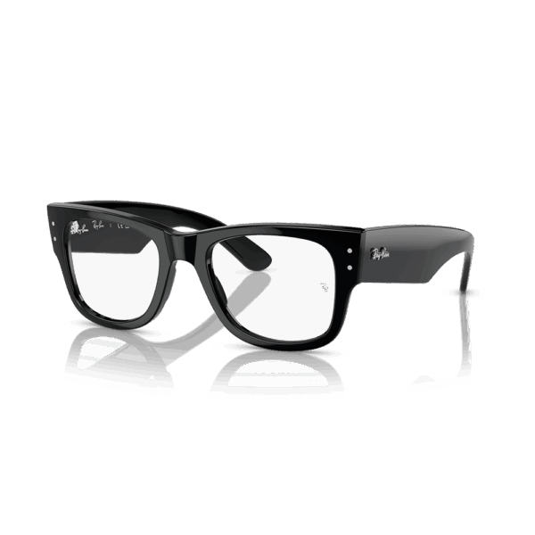 RAY-BAN VISTA