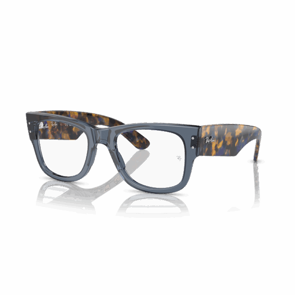 RAY-BAN VISTA