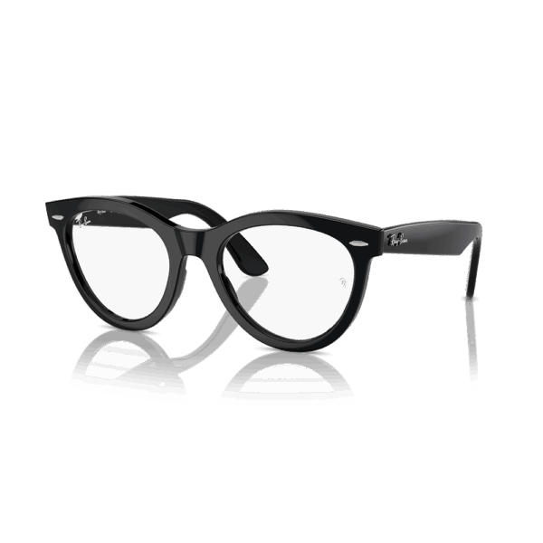 RAY-BAN VISTA
