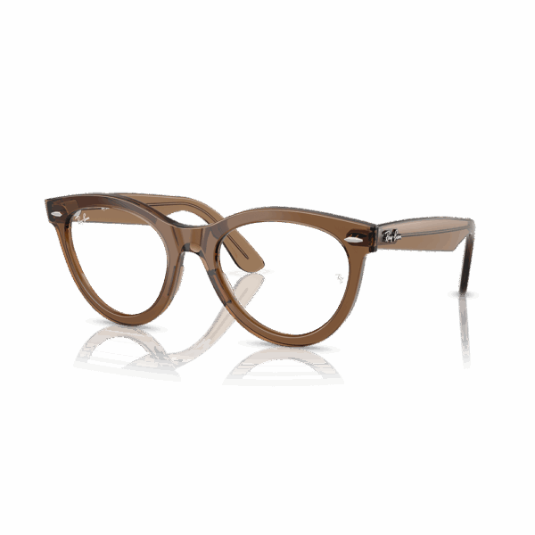 RAY-BAN VISTA
