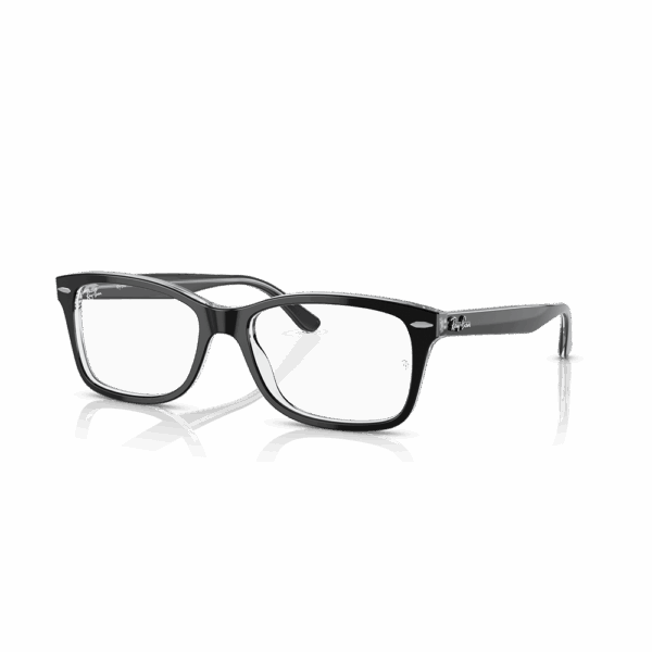 RAY-BAN VISTA