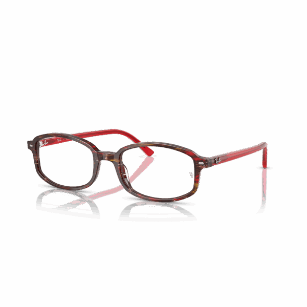 RAY-BAN VISTA