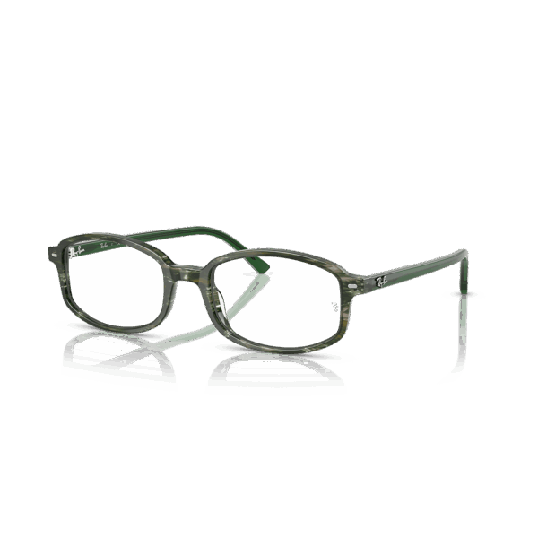 RAY-BAN VISTA