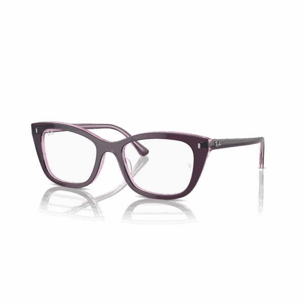 RAY-BAN VISTA