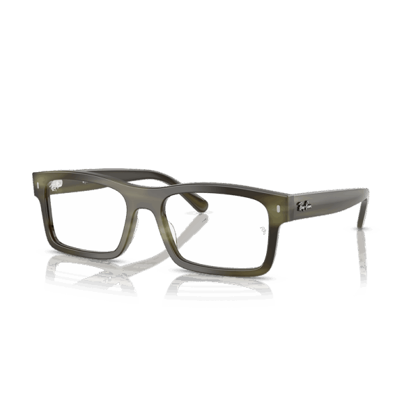 RAY-BAN VISTA