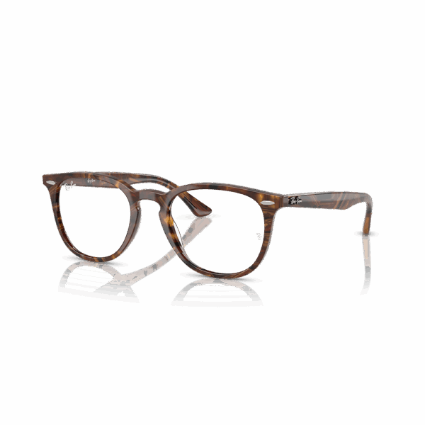 RAY-BAN VISTA