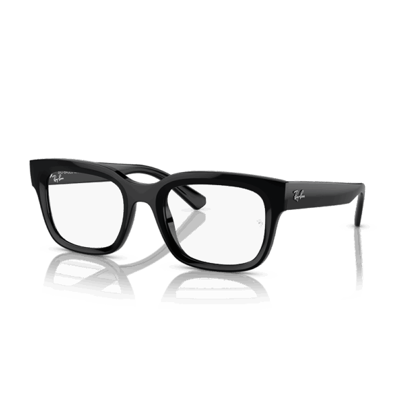 RAY-BAN VISTA