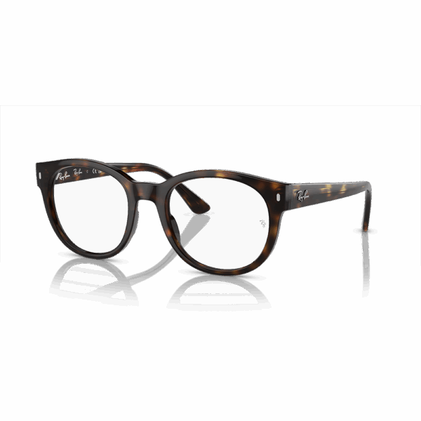 RAY-BAN VISTA