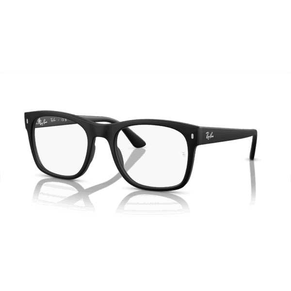RAY-BAN VISTA