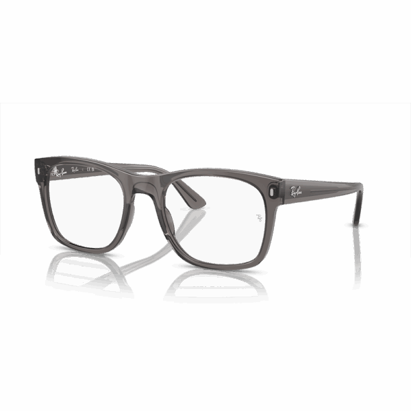 RAY-BAN VISTA