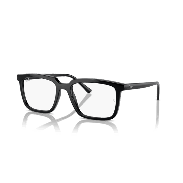 RAY-BAN VISTA