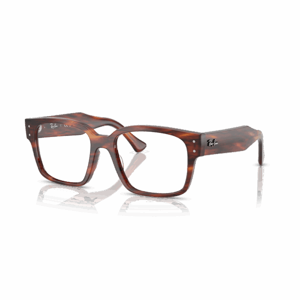 RAY-BAN VISTA