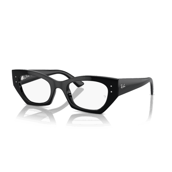 RAY-BAN VISTA